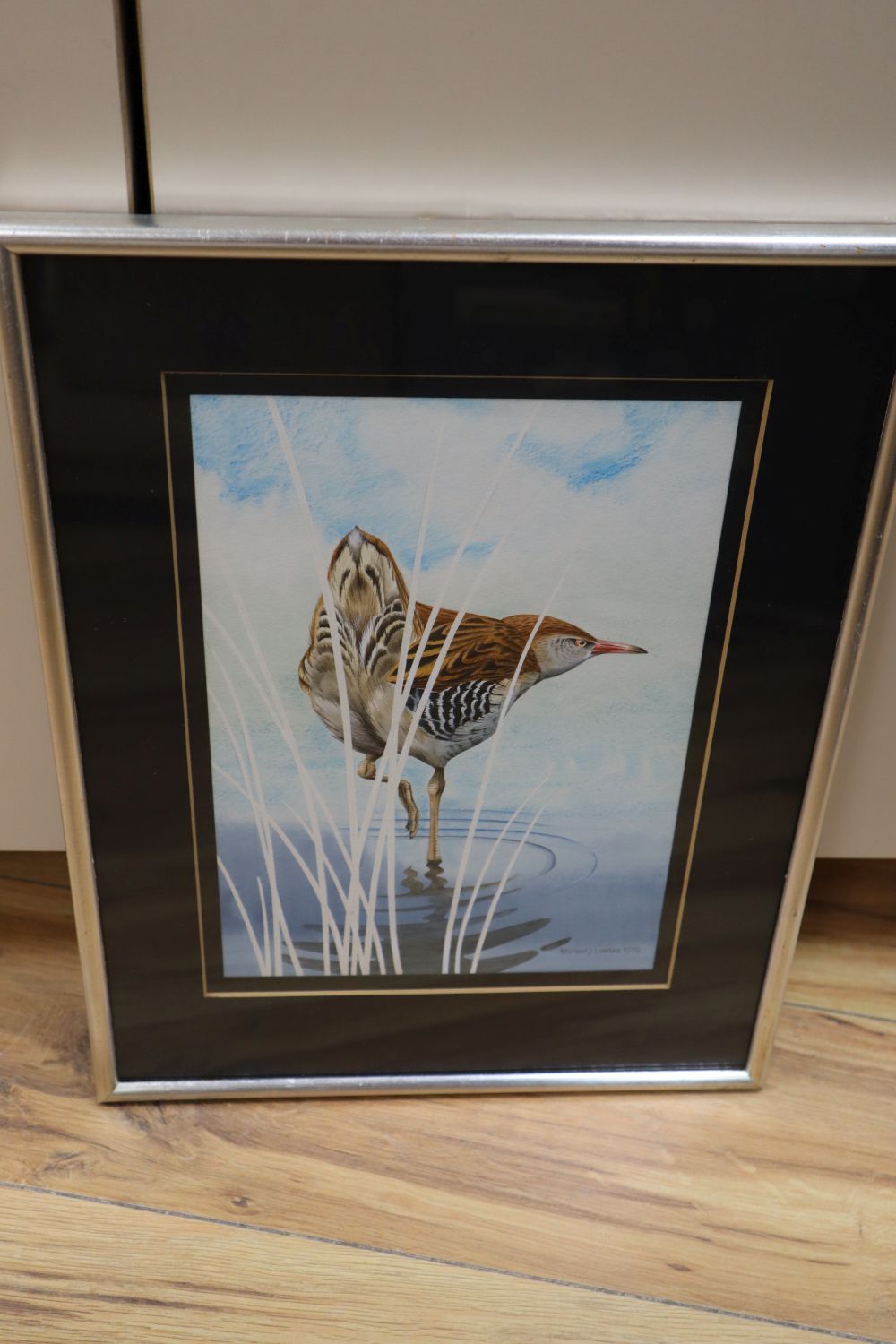 Michael J Loates (20th century), watercolour, study of a Redshank, signed and dated 1978, 27 x 18cm